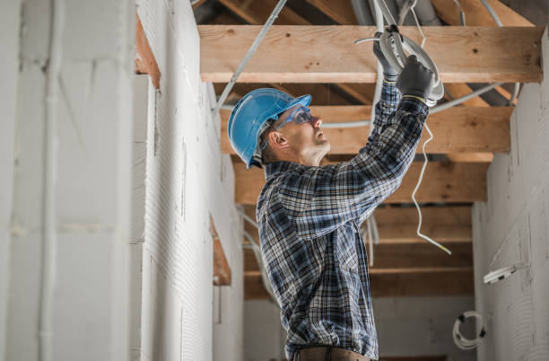 Best Local Electrician Companies  in Alanuk, AK